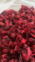 Wholesale Vietnamese dried hibiscus flower all natural in bulk quantity with low price