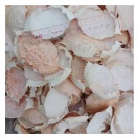 100% NATURAL - VIETNAM MANUFACTURER DRIED CRAB SHELLS FROM VIETNAM FOR DECORATION WITH HIGH QUALITY AND LOW PRICE