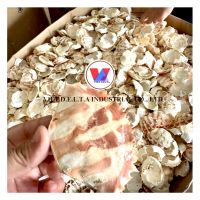 BEST PRICE DRIED CRAB SHELLS / DRIED CRAB SHELL FOR MAKING DECORATION IN RESTAURANT WITH HIGH QUALITY AND LOW PRICE