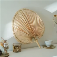 Vietnamese Best Buy for Decoration Natural Palm Leave Fans in Bulk quantity with Good Price