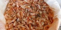 Supply Excellent Quality and Reasonable Prices for Dried Shrimp Shell/Shrimp Head from Vietnam