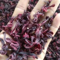 Wholesale Vietnamese dried hibiscus flower all natural in bulk quantity with low price