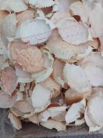 High Quality 100% Natural - Vietnam Manufacturer Dried Crab Shells From Vietnam For Vietnam