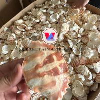 High Quality Crab Shell Food Animal Food Exported And Cheap Price From Vietdelta Vietnam Company