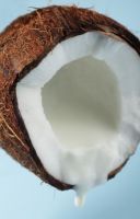 RAW MATERIAL from COCONUT - CANNED COCONUT MILK