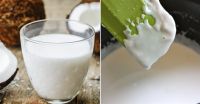 HIGH QUALITY COCONUT CREAM BEST PRICE FORM VIETNAM/ 0.2L/ CAN