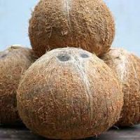 HOT SELLING PRICE OF DRIED COPRA COCONUT IN BULK