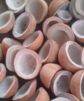 HOT!HOT! DRIED COCONUT COPRA from Vietnam/ Premium quality for your CHOICE/ Good Price