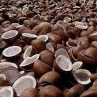 Top- Grade Export Dried Coconut Copra with PREMIUM QUALITY/ reasonable price