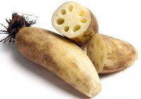 FROZEN LOTUS ROOT from Vietnam - High quality - Good price