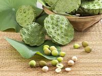 BEST PRODUCT with REASONABLE PRICE - FROZEN LOTUS SEEDS from Vietnam 