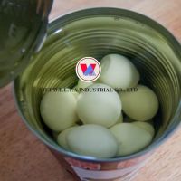 100% from Fresh eggs / CANNED QUAIL EGGS from Vietnam / PREMIUM QUALITY