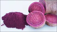 BEST POWDER SWEET POTATO POWDER FROM VIETNAM/ 100% NATURAL POTATO