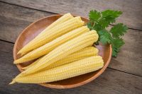 BEST QUALITY!! BABY CORN CAN/ FRESH BABY CORN MADE IN VIETNAM