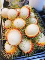 RAMBUTAN CANNED/ CARRYING ON YOUR PICNICS 