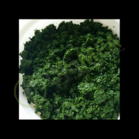 Best Natural Health product / FROZEN CASSAVA LEAVES in VIETNAM // HIGH QUALITY from Vietnam