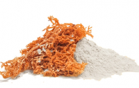NATURAL SEAWEED-BASED CARRAGEENAN FOR GEL FORMATION IN FOOD PRODUCTS
