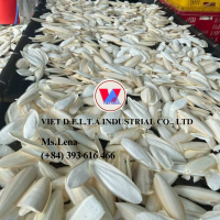 VIETNAMESE NATURAL CUTTLEFISH BONE POWDER FOR EXPORT WITH PREMIUM QUALITY