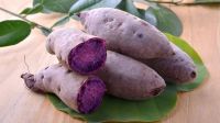 PREMIUM VIETNAMESE FROZEN PURPLE SWEET POTATOES - NUTRITIOUS 