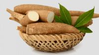 PREMIUM VIETNAMESE FROZEN TAPIOCA CASSAVA - FRESHLY FROZEN TUBER