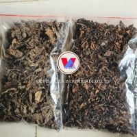 TOP QUALITY GRASS JELLY LEAVES from VIETNAM / BEST CHOICE for PREMIUM QUALITY / 100% GRASS JELLY LEAVES