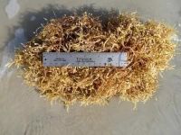 Best product for Health from Vietnam / Sargassum Seaweed with Premium Quality / Good price