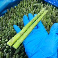 PREMIUM FROZEN ASPARAGUS FROM VIETNAM IDEAL FOR SOUPS, SALADS, AND STIR-FRY