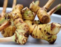 FINEST VIETNAMESE GALANGAL POWDER - NATURAL 100% GALANGAL POWDER FOR CULINARY USE