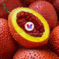 GAC FRUIT POWDER made in VIETNAM / PREMIUM QUALITY with GOOD PRICE