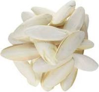 BEST PRICE  - CUTTLEBONE PRODUCT - PREMIUM QUALITY - VIETNAM