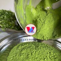 VIETNAM ORIGIN ORGANIC MORINGA LEAF POWDER HIGH NUTRITION VALUE FOR SMOOTHIES AND SUPPLEMENTS