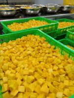 VIETNAM FROZEN MANGO SLICES HIGH IN FIBER AND VITAMINS PERFECT FOR DESSERTS AND BEVERAGES