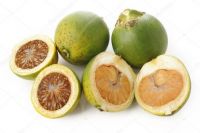 Fresh Areca Fruit from Vietnam - Sourced Directly from Local Farms for Optimal Freshness