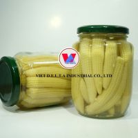 Bulk Vietnamese Canned Baby Corn - Perfect for Food Service and Retail