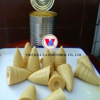 HIGH-GRADE CANNED BAMBOO SHOOT AUTHENTIC VIETNAM BAMBOO PRODUCT ORGANIC