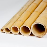 VIETNAMESE BAMBOO POLES NATURAL ECO-FRIENDLY DURABLE SUSTAINABLE GARDENING