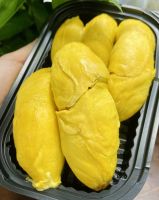 FRESH VIETNAMESE DURIAN - PREMIUM QUALITY, SWEET AND CREAMY- FROM VIETNAM'S BEST FARMS