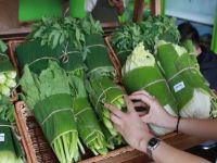 NATURAL BANANA LEAVES - PREMIUM QUALITY LEAVES FROM VIETNAM FOR CRAFTS AND COOKING USES