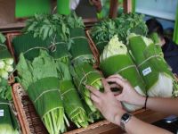 VIETNAMESE BANANA LEAVES - IDEAL FOR COOKING AND CRAFT/ EXCELLENT QUALITY