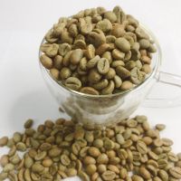 VIETNAMESE ROBUSTA GREEN COFFEE BEANS - UNROASTED, HIGH-QUALITY BEANS