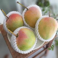 Vietnam's Premium Mango - Exquisite Flavor from Our Orchards