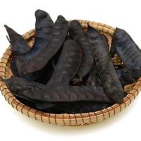 BEST PRICE FOR TOP CHOICE FROM VIETNAM // PREMIUM GLEDITSIA SINENSIS // 100% NATURAL // GOOD FOR HEALTH