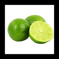 LimeFresh Vietnam - Premium seedless limes from VietnamÃ¢ï¿½ï¿½s tropical farms, delivering fresh, zesty flavor and exceptional quality