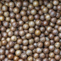 HIGH-QUALITY MACADAMIA NUTS IN VIETNAM - SHELLED/ UNSHELLED - TOP NUT FOR YOU