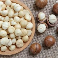 VIETNAMESE MACADAMIA NUTS SHELLED AND UNSHELLED - NATURAL, CRUNCHY, DELICIOUS NUTS