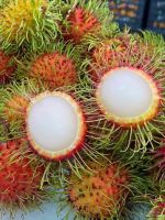 FROZEN RAMBUTAN FROM VIETNAM - TASTY, FRESH AND NUTRITIOUS FRUIT, PERFECT FOR SMOOTHIES AND DESSERTS