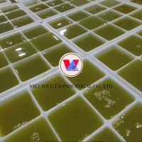 VIETNAMESE FROZEN SUGARCANE/ FRUIT FROZEN SUGARCANE - TOP GRADE 