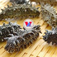 VIETNAM NATURAL SEA CUCUMBER POWDER - 100% ORGANIC MARINE PRODUCT
