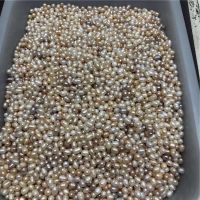 HIGH-QUALITY VIETNAMESE PEARL POWDER FOR COSMETICS, FACIAL CARE, WHITENING