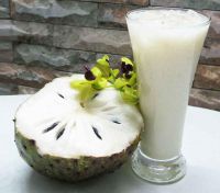 VIETNAMESE FRESH CUSTARD APPLE - NATURALLY GROWN AND HARVESTED - BEST QUALITY TROPICAL FRUIT